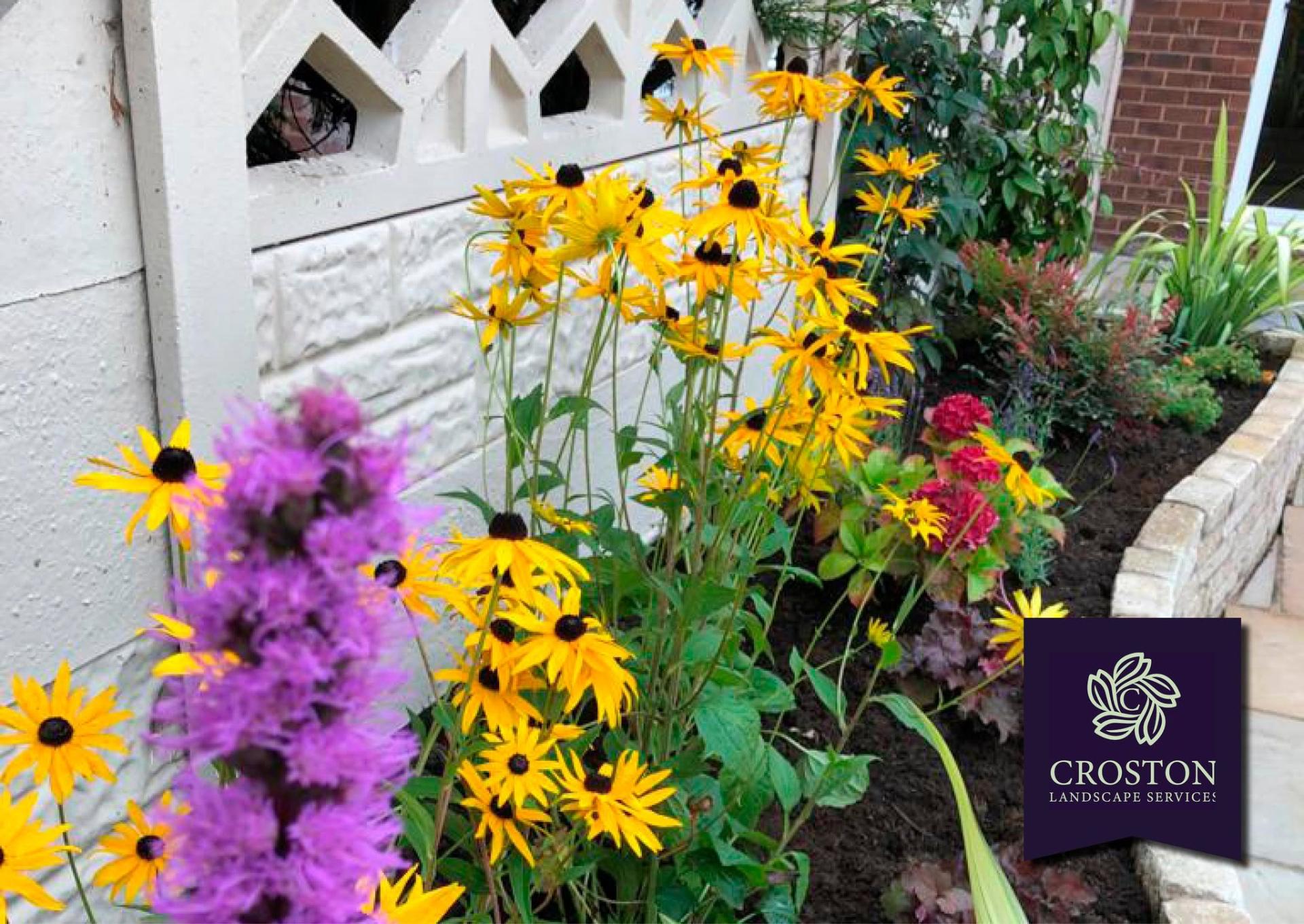Mixed border of yellow rudbeckia, purple liatris and heuchera