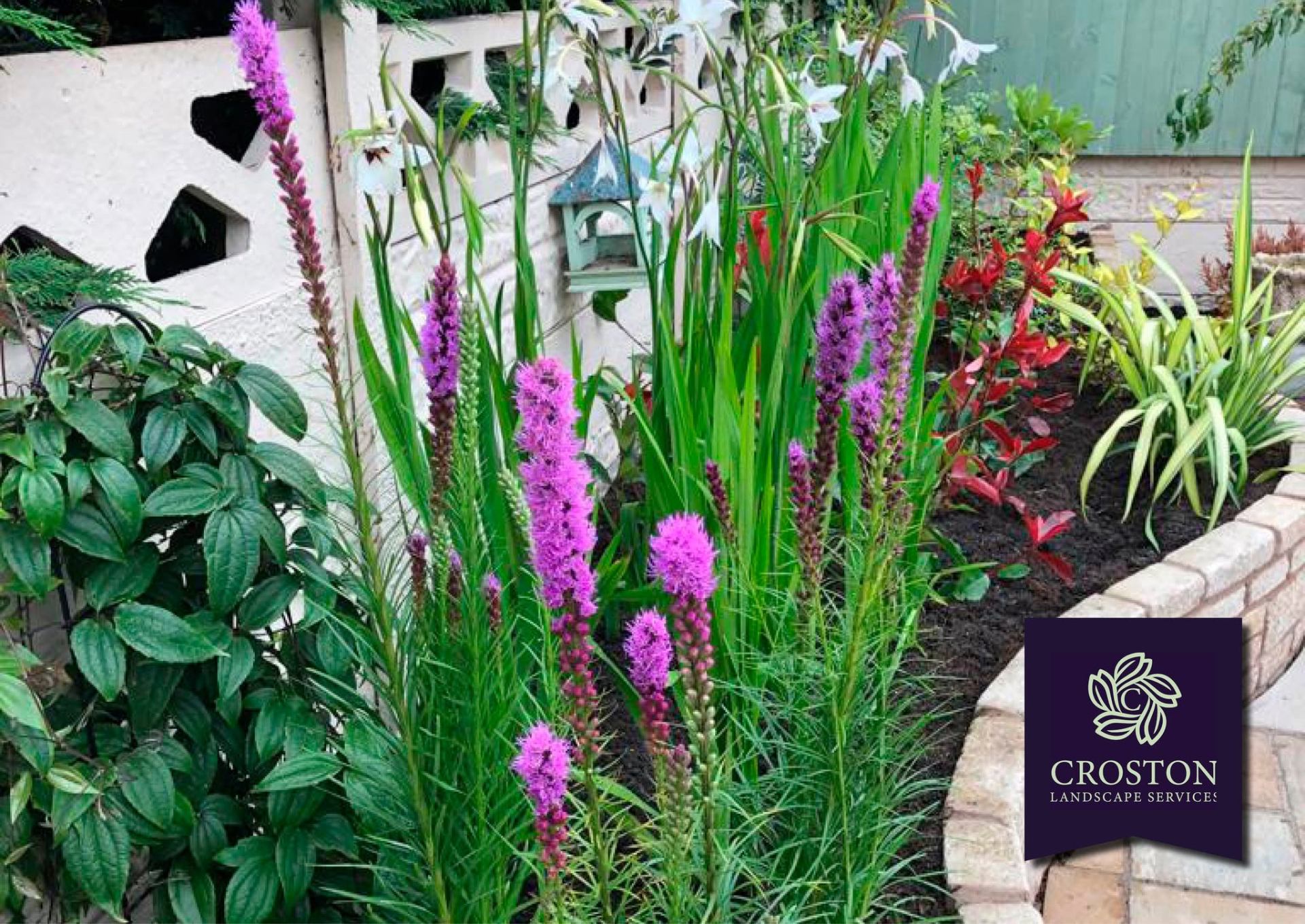 Raised border with purple liatris, white lilies and red photinia